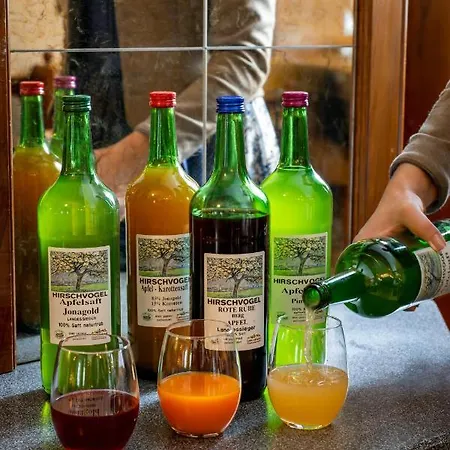 米拉贝尔广场奥斯超泰尔酒店 萨尔茨堡